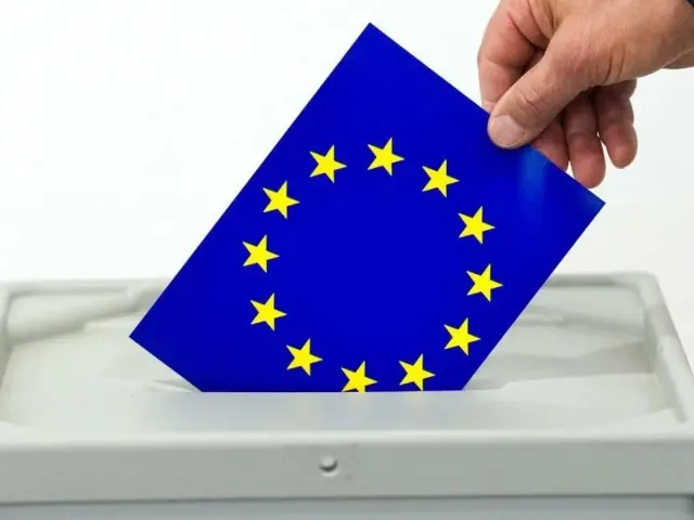 Elezioni Europee: esercizio del diritto di voto da parte di elettori affetti da gravi infermità