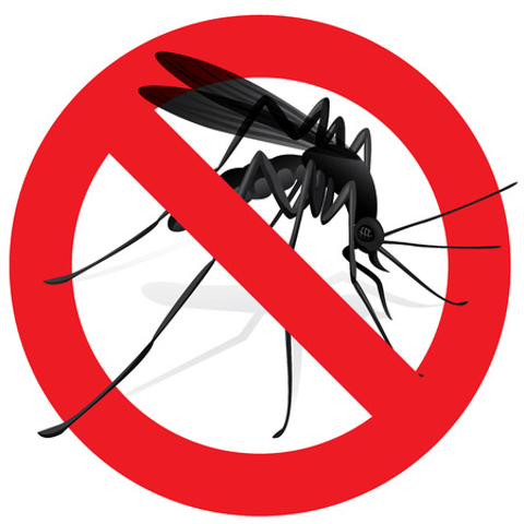 Attenzione alle zanzare!