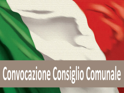 consiglio comunale - seduta straordinaria
